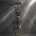 Fossa Aspire Shower Black Gold Wall Mounted 4-Function Brass