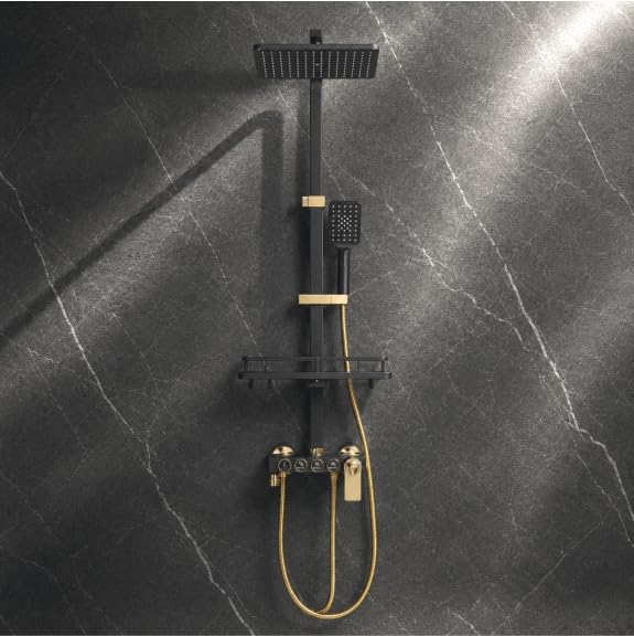 Fossa Aspire Shower Black Gold Wall Mounted 4-Function Brass